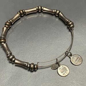 Alex and Ani Energy Bracelet Bangle Bamboo Links